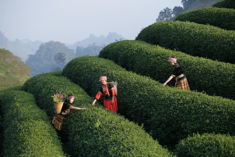 Historical Events Experience